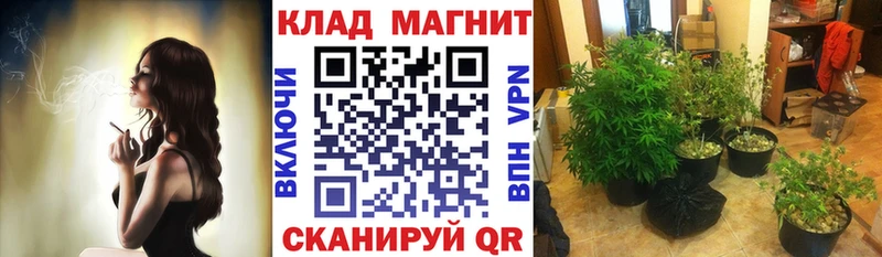 Купить закладку Юрьев-Польский МАРИХУАНА Амфетамин Гашиш Cocaine