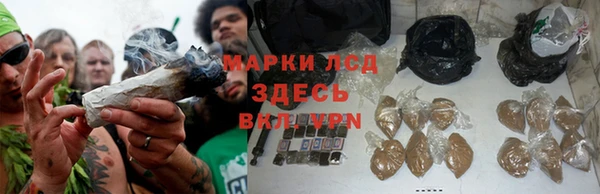 мяу мяу мука Алексеевка