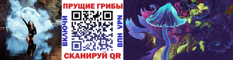 Псилоцибиновые грибы прущие грибы  блэк спрут ONION  darknet официальный сайт  закладка  Юрьев-Польский 